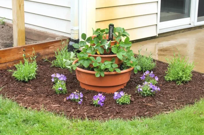 3-Tier Planter