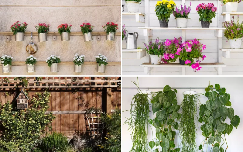 5 unique ideas for a hanging garden featured