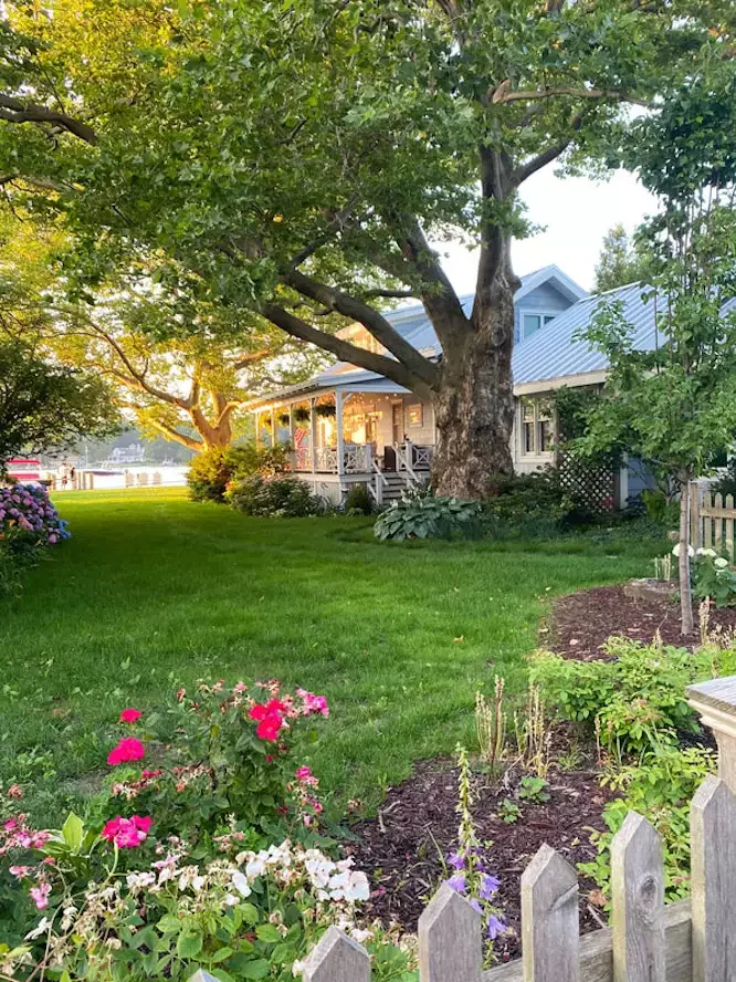 A Backyard Lined With Mulch