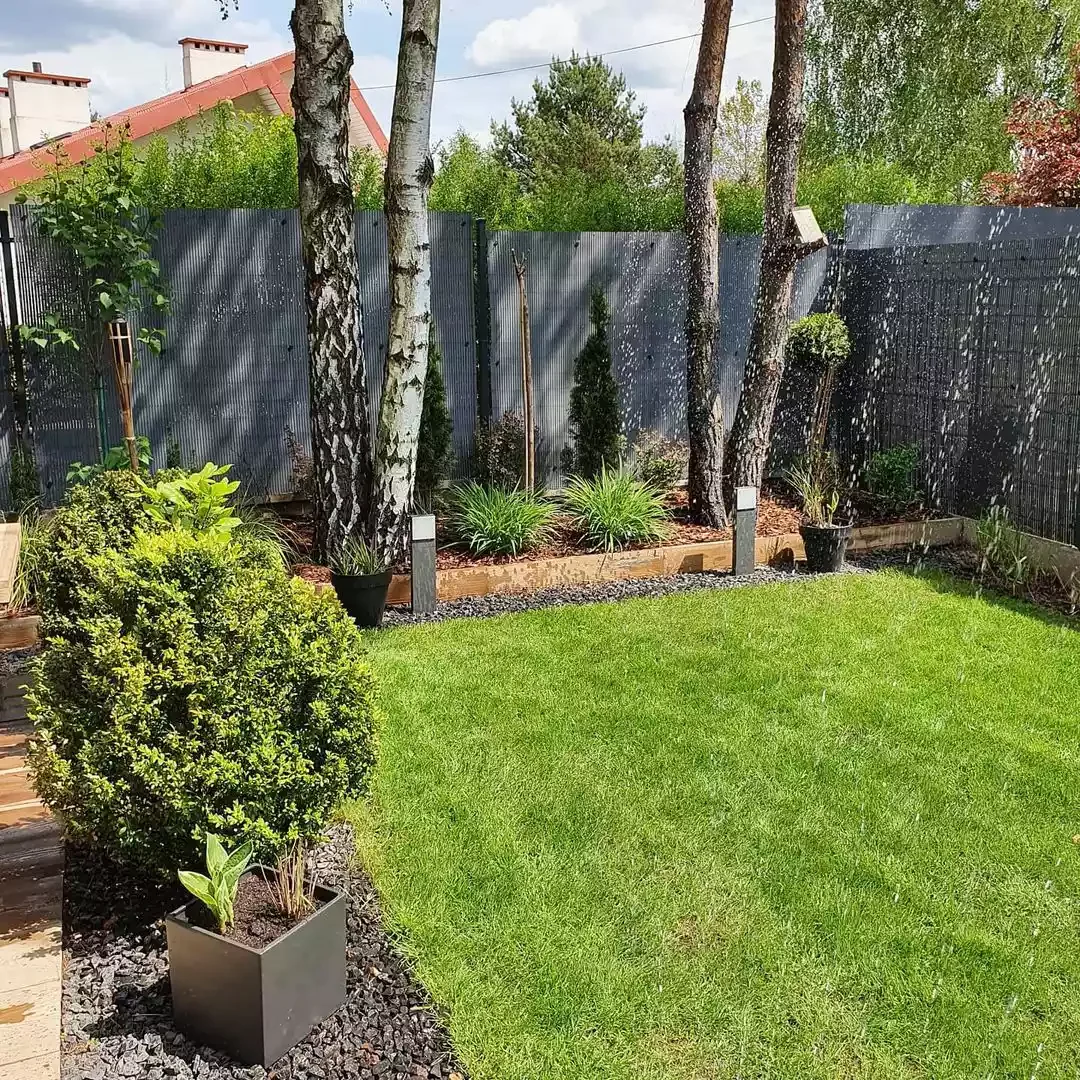 A Backyard With Simple Landscaping