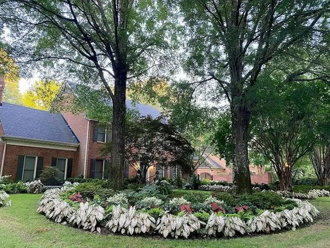 82 Stunning Front Yard Landscaping Ideas to Transform Your Home's Curb Appeal This Spring A Colonial
