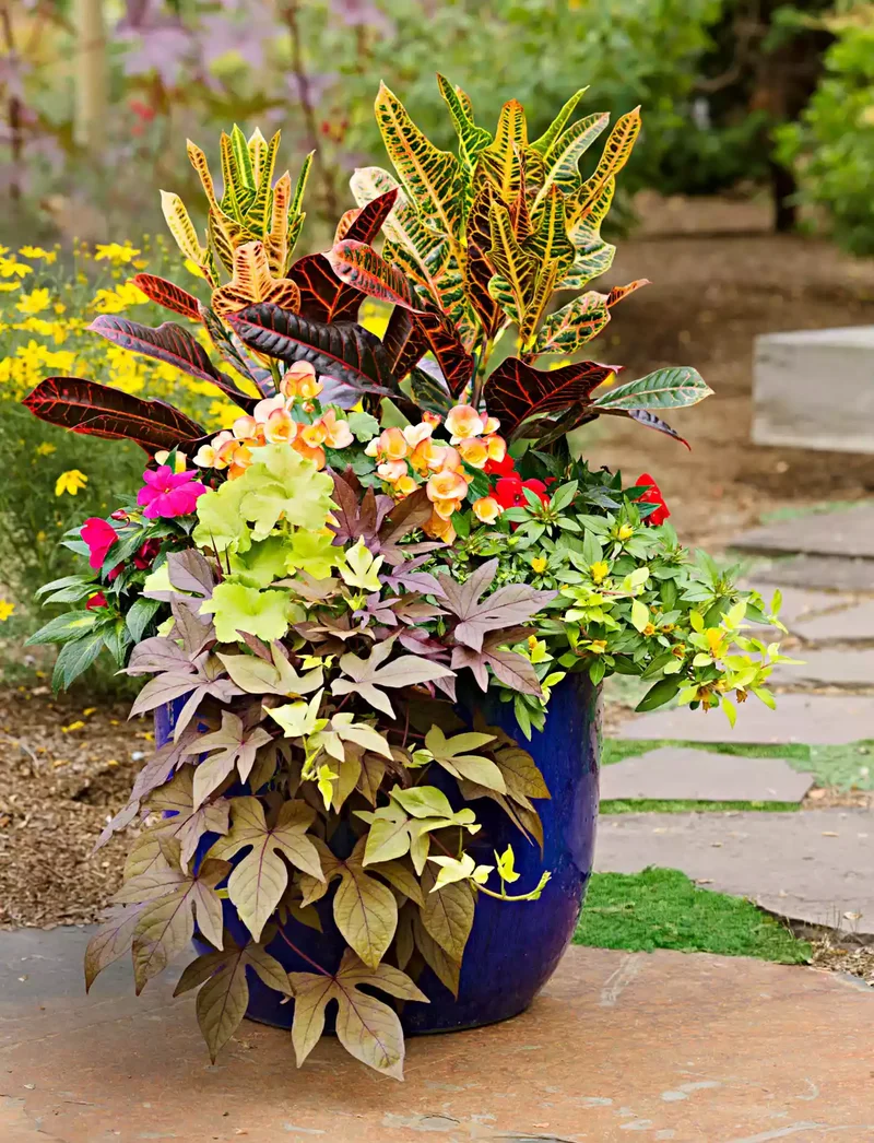 A (Color) Party in a Pot