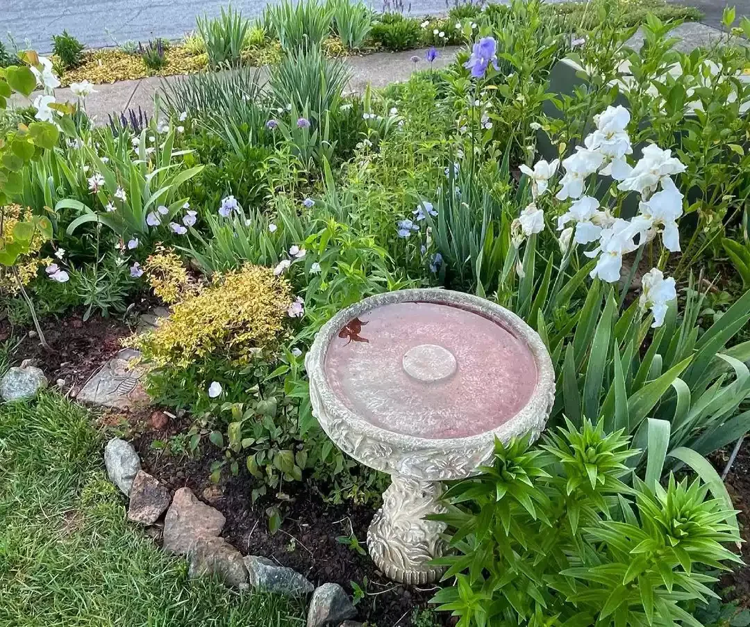35 Corner Garden Designs That Transform Every Outdoor Space A Corner Garden For the Birds