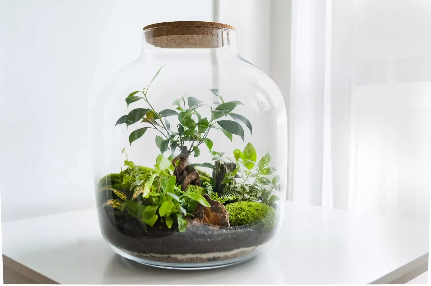16 Beautiful Ways to Create Your Dream Indoor Garden Space A Creative Mini-Garden