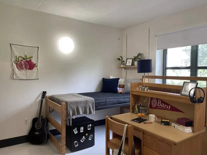 25 Smart Dorm Room Organization Ideas to Transform Your Tiny Space A Lofted Bed