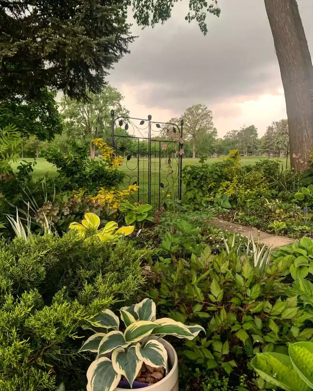 A Shady Backyard Arcadia