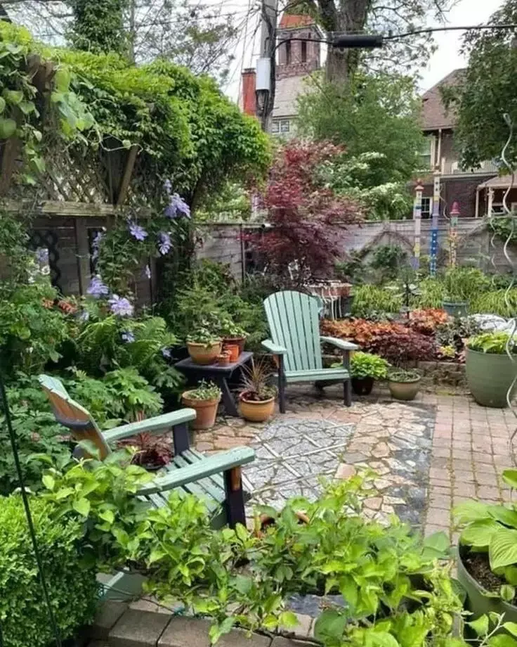 A Vegetable Garden in the Backyard