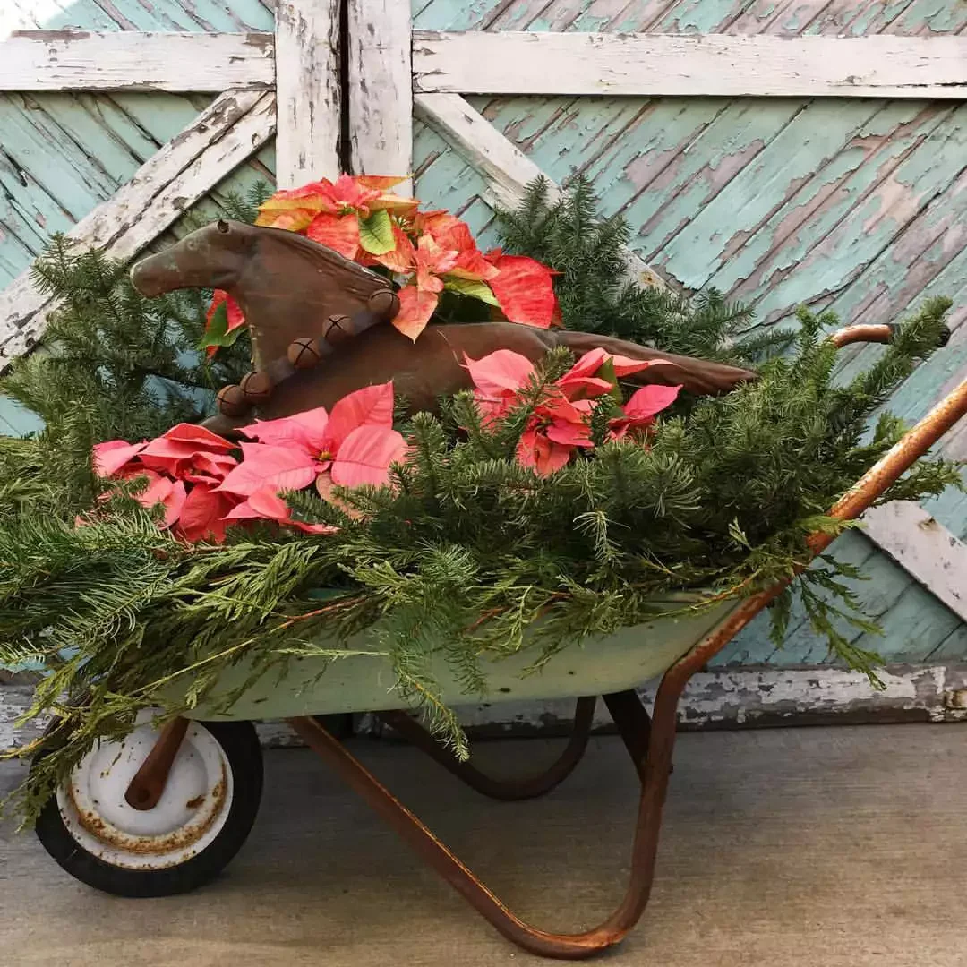 21 Stunning Poinsettia Display Ideas to Transform Your Holiday Home 20 A Wheelbarrow Full