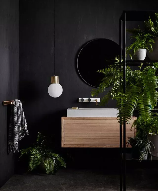 31 Stunning Black Bathroom Ideas That Create the Ultimate Stylish Retreat 1 Accent With Plants