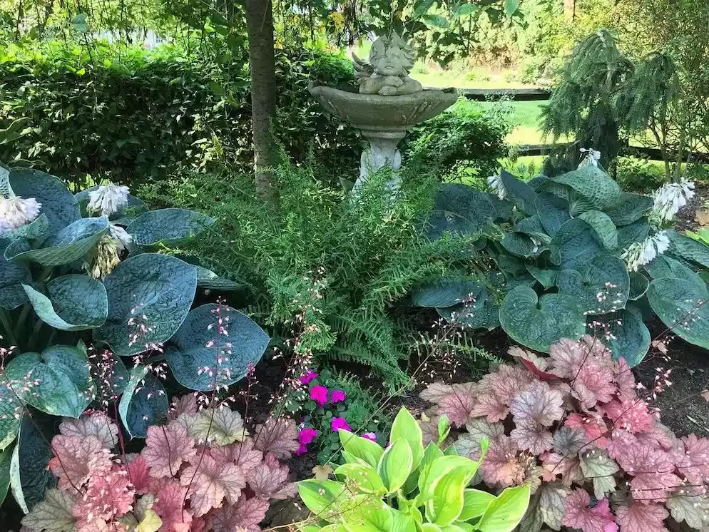 14 Stunning Hosta Garden Ideas That Will Transform Your Outdoor Space Add Companion Plants
