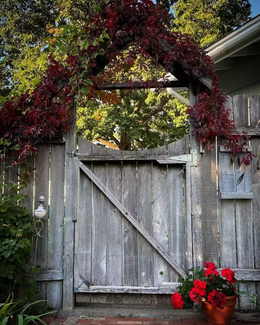 Add Elegance to an Arbor