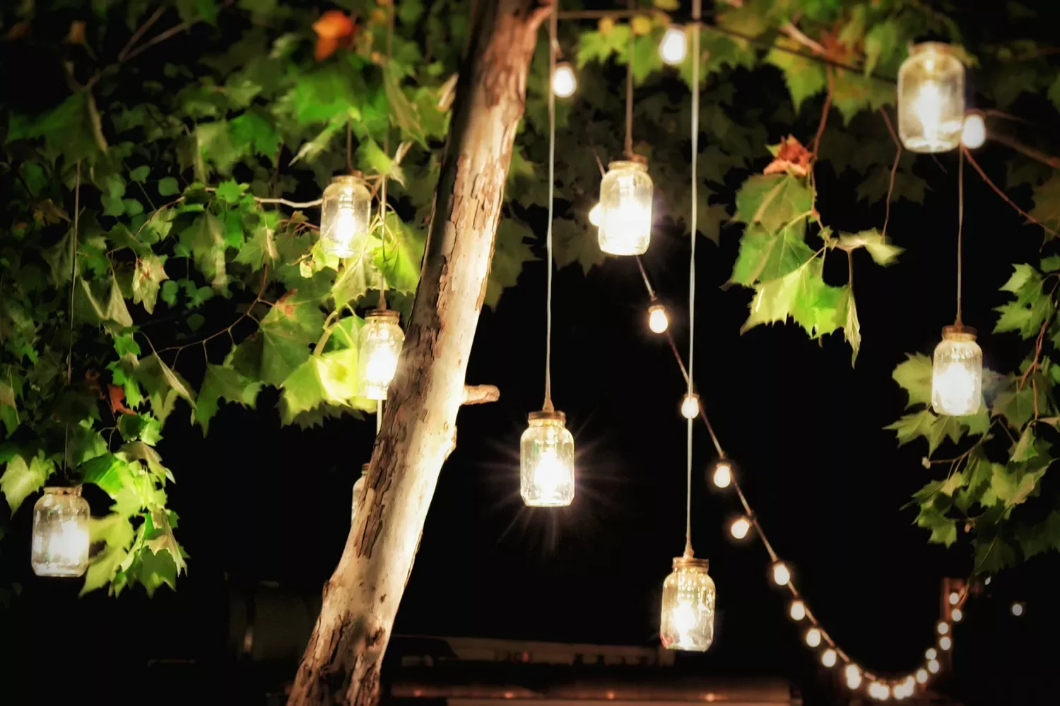 Add Lights for Evening Sparkle