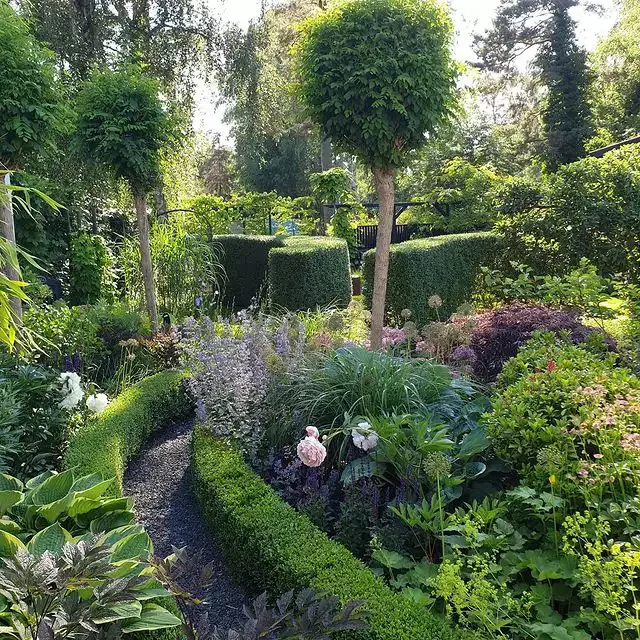13 Effortless Garden Border Ideas That'll Transform Your Outdoor Space Add Low Hedges