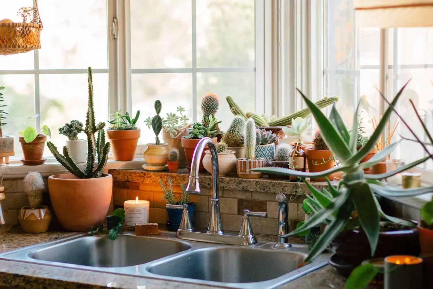 31 Bohemian Kitchen Ideas That Will Transform Your Space with Personality 20 Add Plenty of Plants