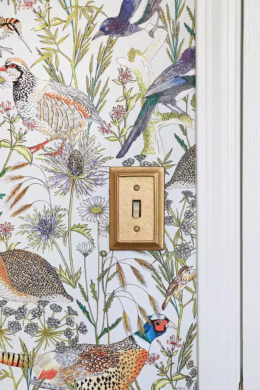 Add Stylish Details