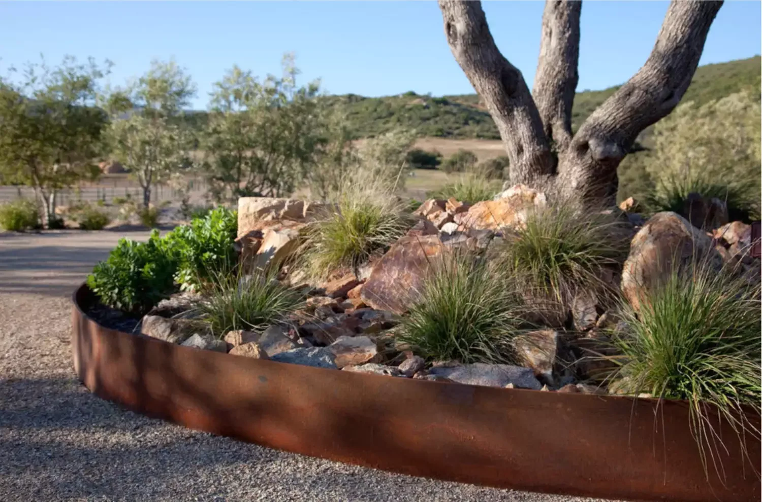 15 Creative Ways to Transform the Space Around Your Trees Add Volume With Native Grasses