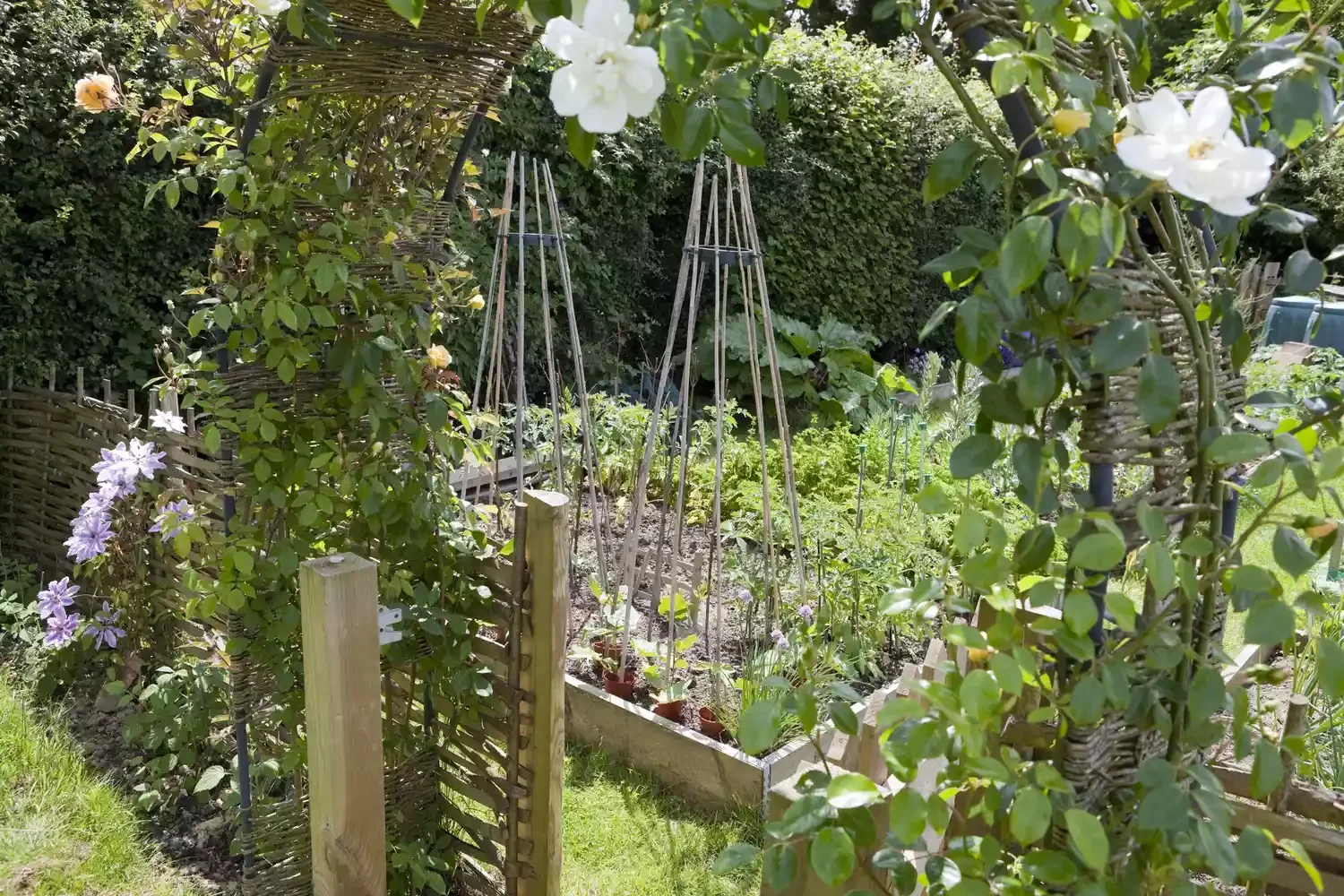 26 Vegetables Garden Ideas That Keep Your Home Stocked with Year-Round Add Wood, Wicker, and Bamboo