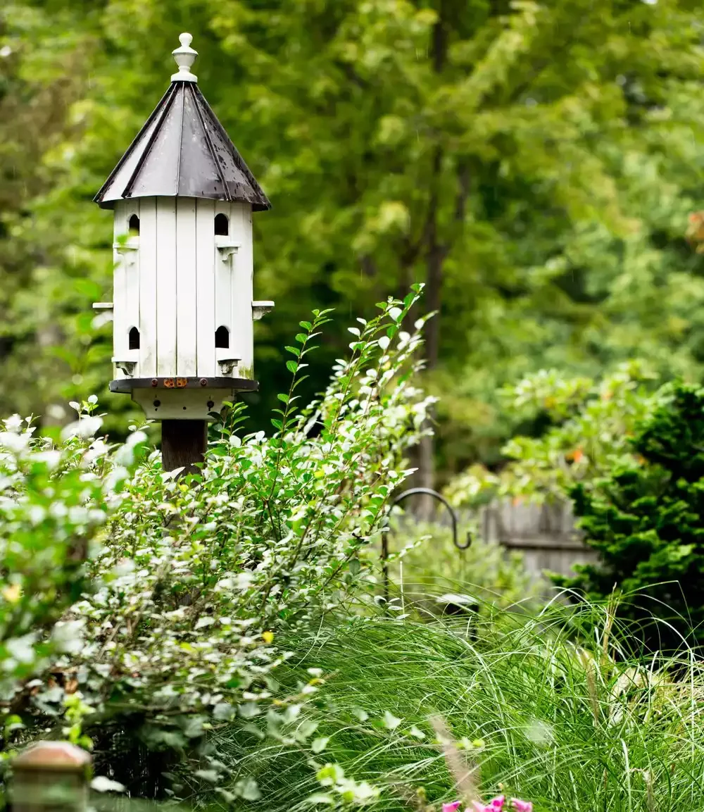 15 Charming Rustic Garden Design Ideas to Transform Your Outdoor Space Add a Backyard Birdhouse
