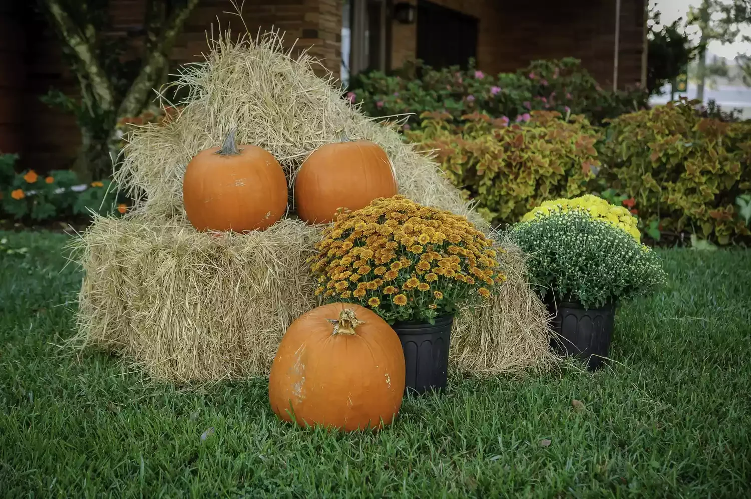 30 Stunning Fall Decor Ideas to Transform Your Outdoor Space Into an Autumn Paradise 30 Add a Bale of Hay