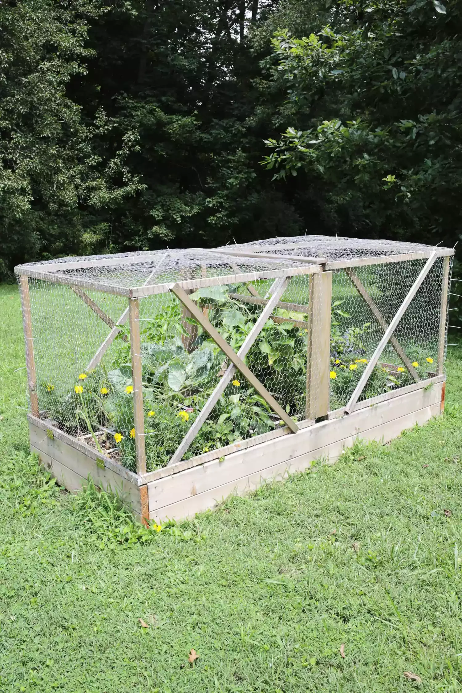 Add a Cage Cover
