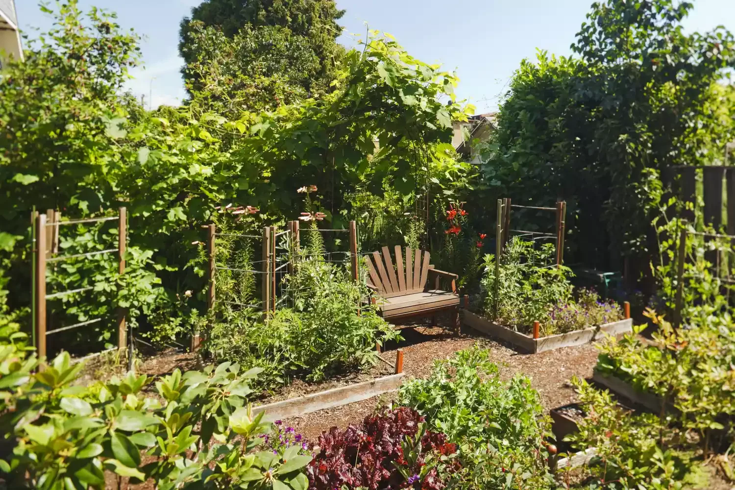 26 Vegetables Garden Ideas That Keep Your Home Stocked with Year-Round Add a Cozy Seating Nook
