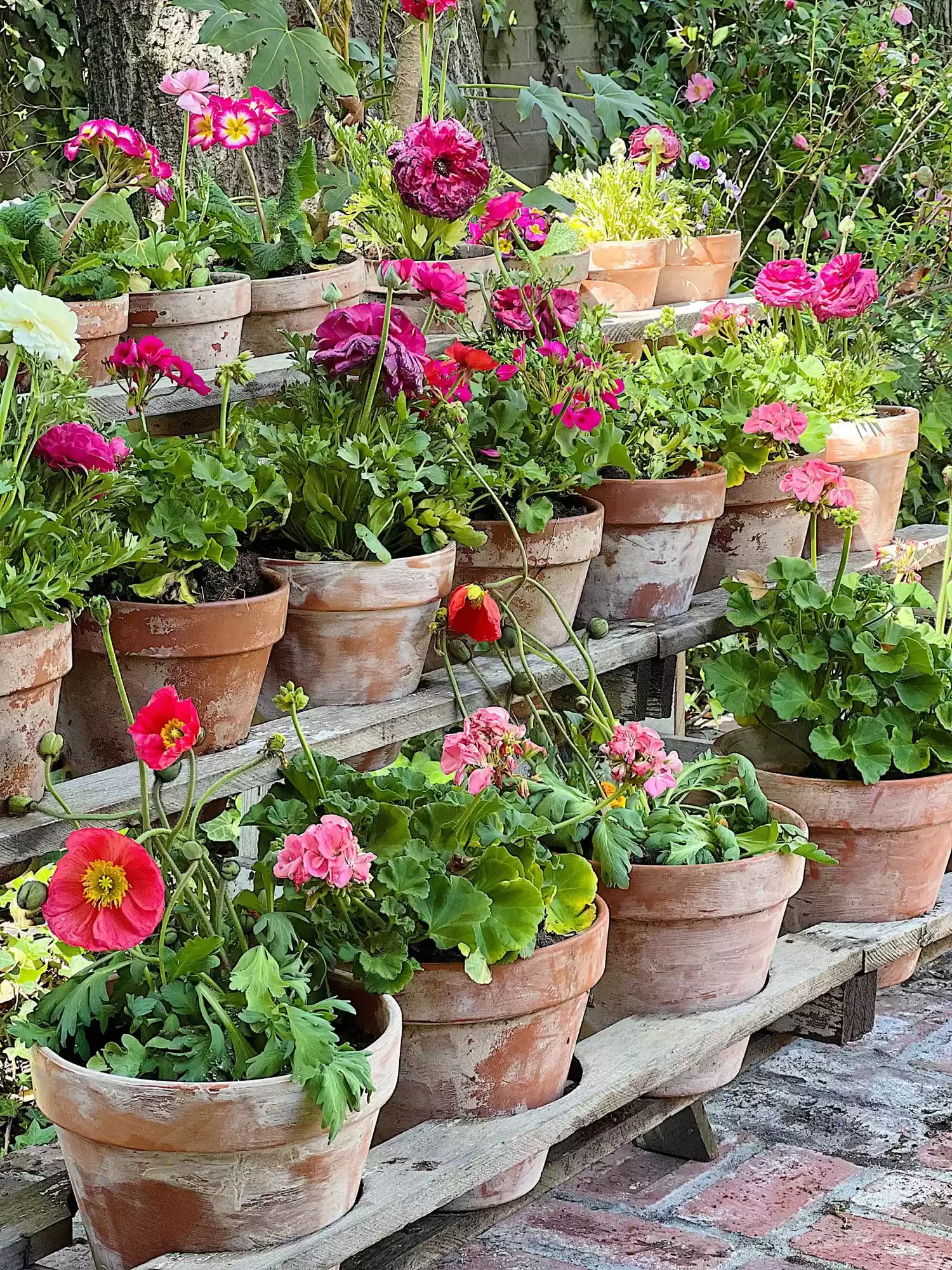 15 Charming Rustic Garden Design Ideas to Transform Your Outdoor Space Add a DIY Weathered Finish