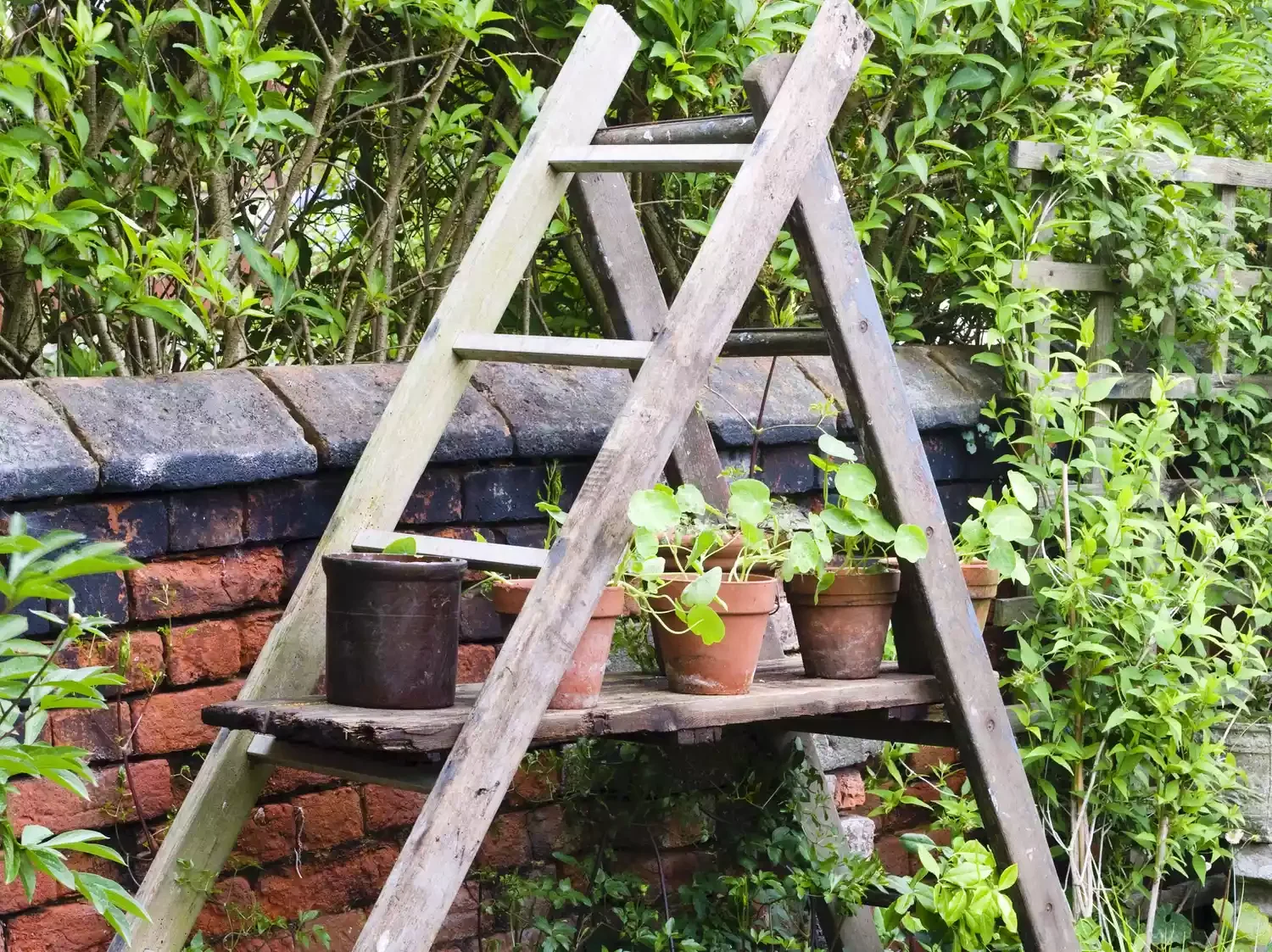 Add a Ladder