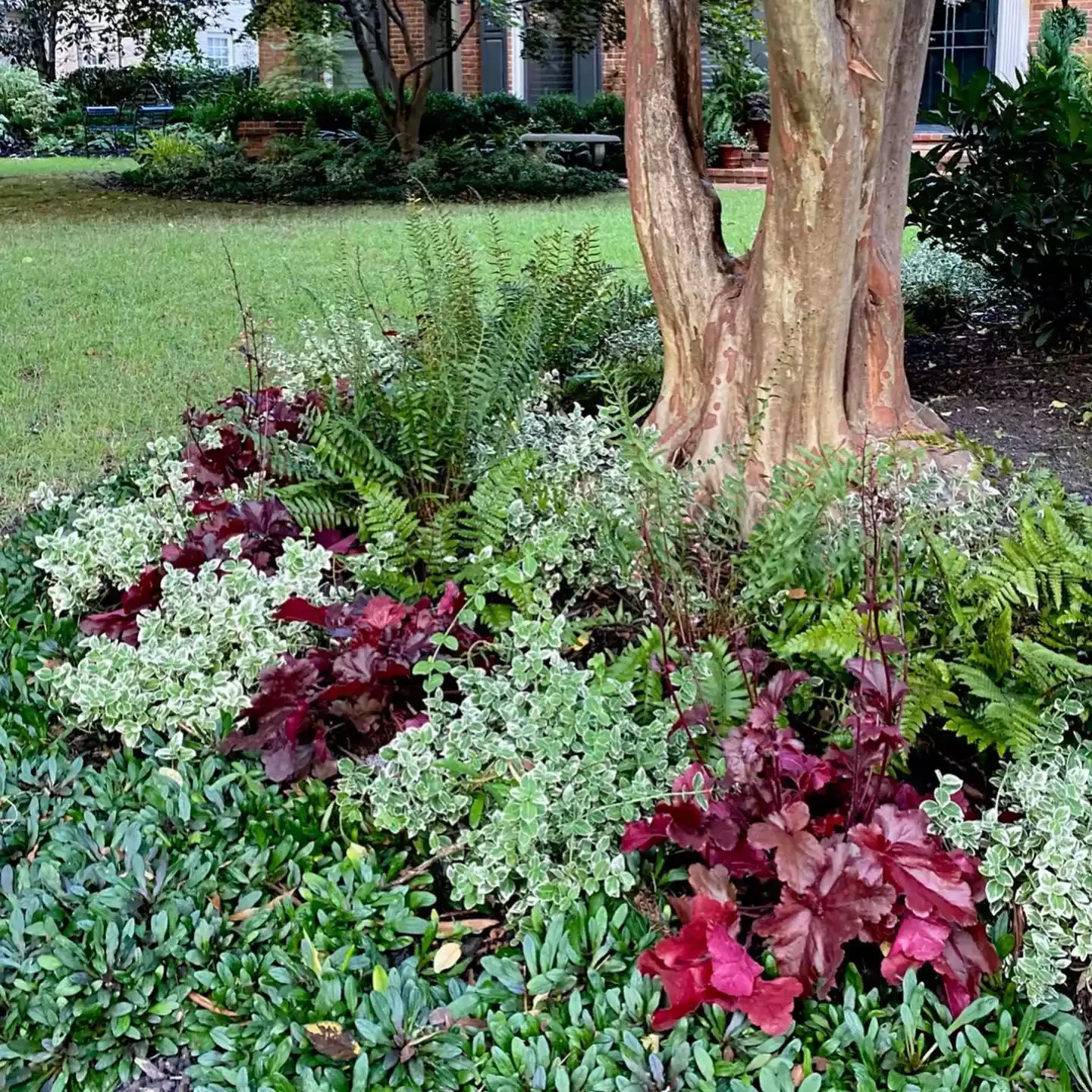 13 Effortless Garden Border Ideas That'll Transform Your Outdoor Space Add a Shade Border