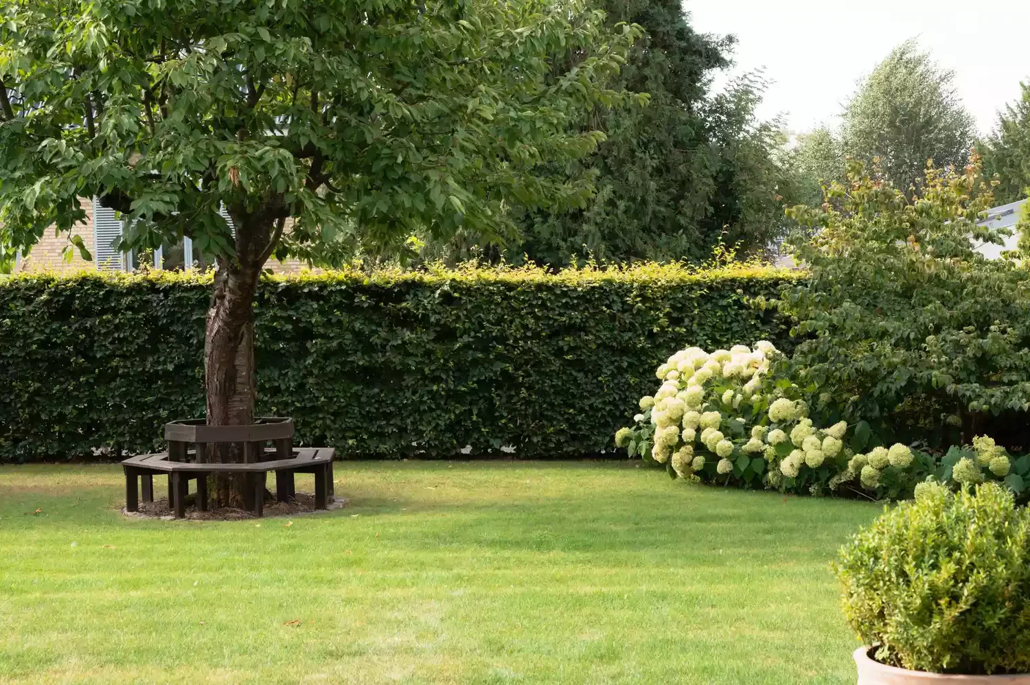 32 Stunning Ways to Transform Your Backyard Into a Personal Oasis 20 Add a Tree Bench