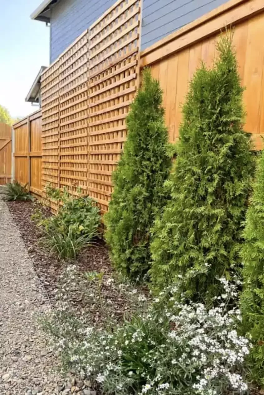 52 Stunning Wooden Fence Designs That Add Rustic Charm to Your Outdoor Space Add a Trellis to the Fence