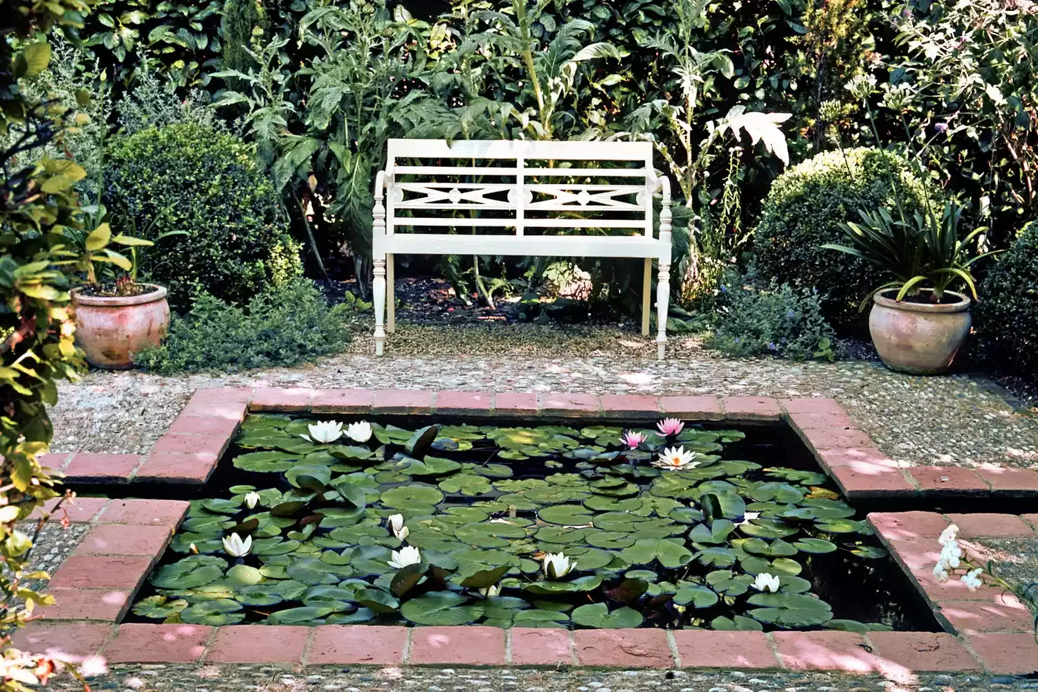 Add a Water Garden