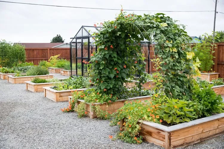 Add an Arched Trellis