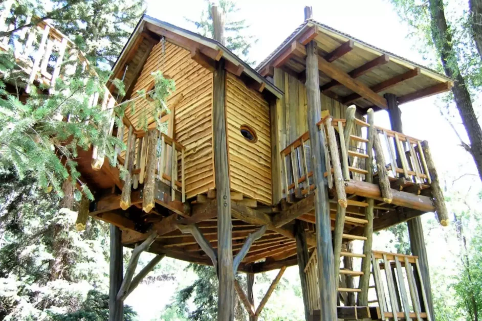 21 Inviting Guest House and Cottage Designs That Welcome Everyone 13 Adventure Ready Treehouse Guest Space