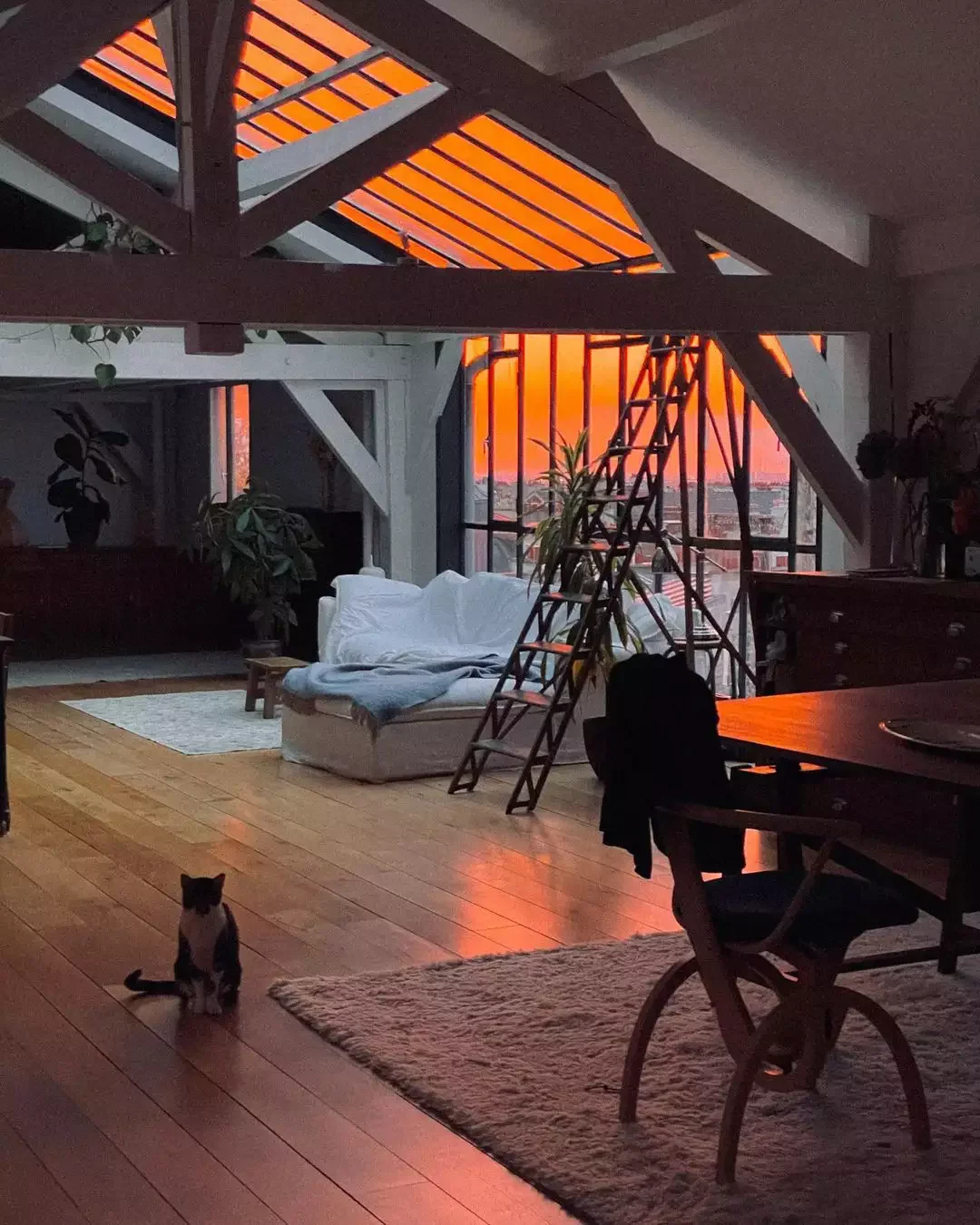 20 Stunning Ways to Transform Your Loft Into a Cozy Home 8 Ambient Loft