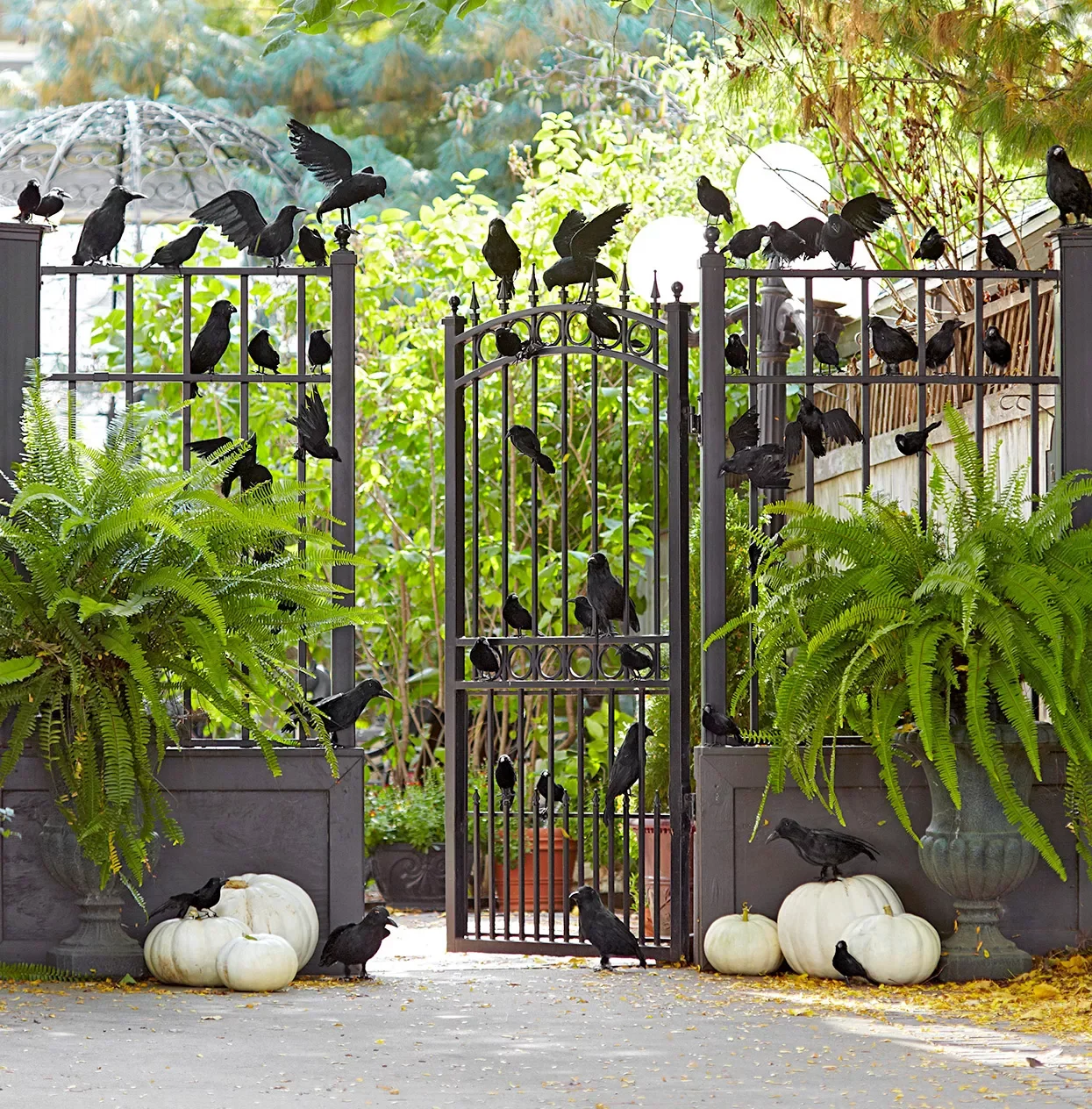 56 Creative DIY Halloween Decorations for Outdoor Spaces 35 An Unkindness of Ravens