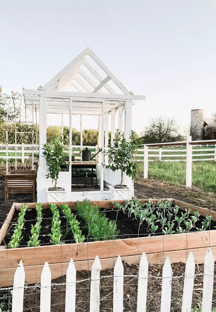 Anchor It With a Greenhouse
