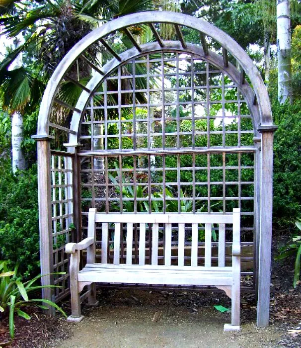 Arbor and Bench