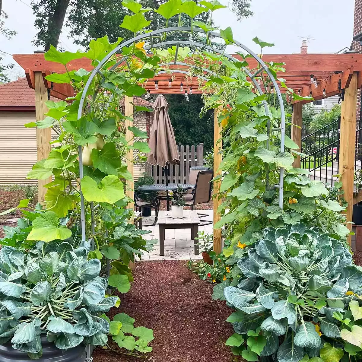 10 Raised Garden Bed Ideas That Maximize Small Spaces Arched Trellises in a Garden Bed