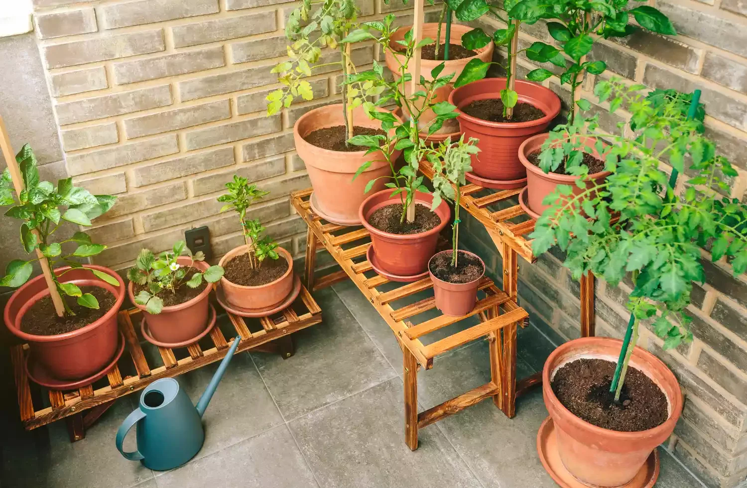 26 Vegetables Garden Ideas That Keep Your Home Stocked with Year-Round Arrange Containers for Easy Access