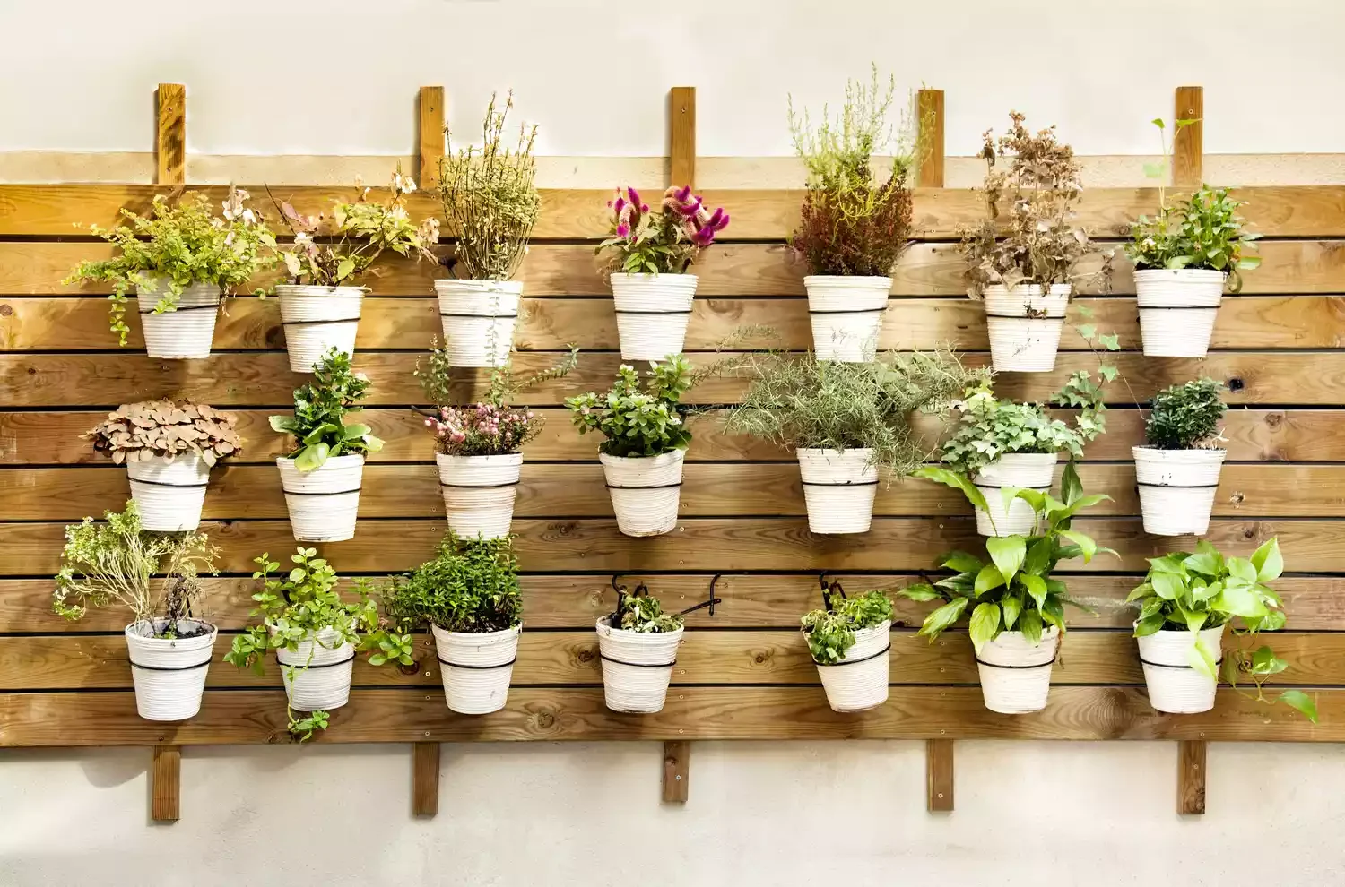 Arrange Pots in Even Rows on a Fence