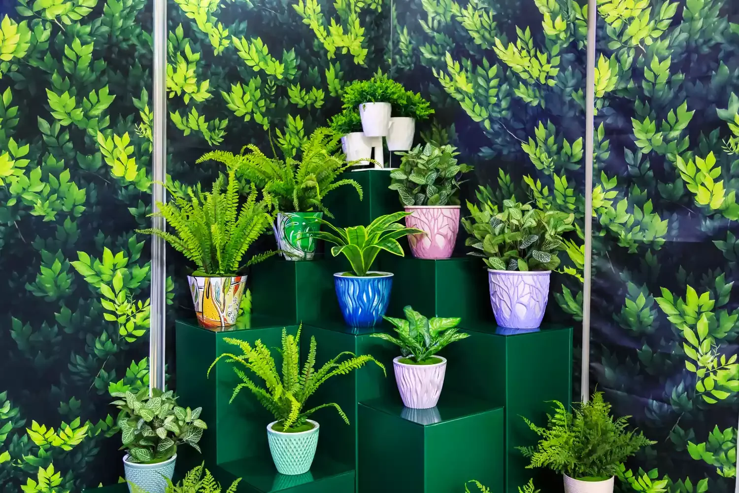 Arrange Your Plants on Steps