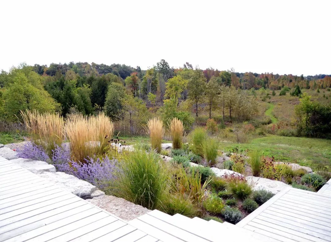 Backyard Terraced Gardens