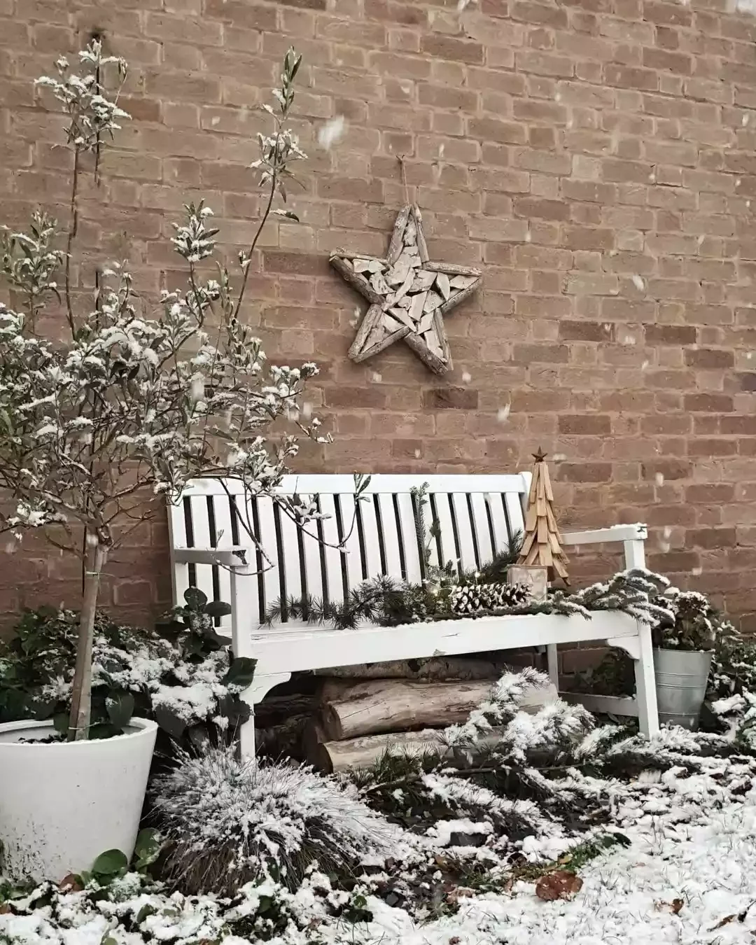 Backyard Winter Charm