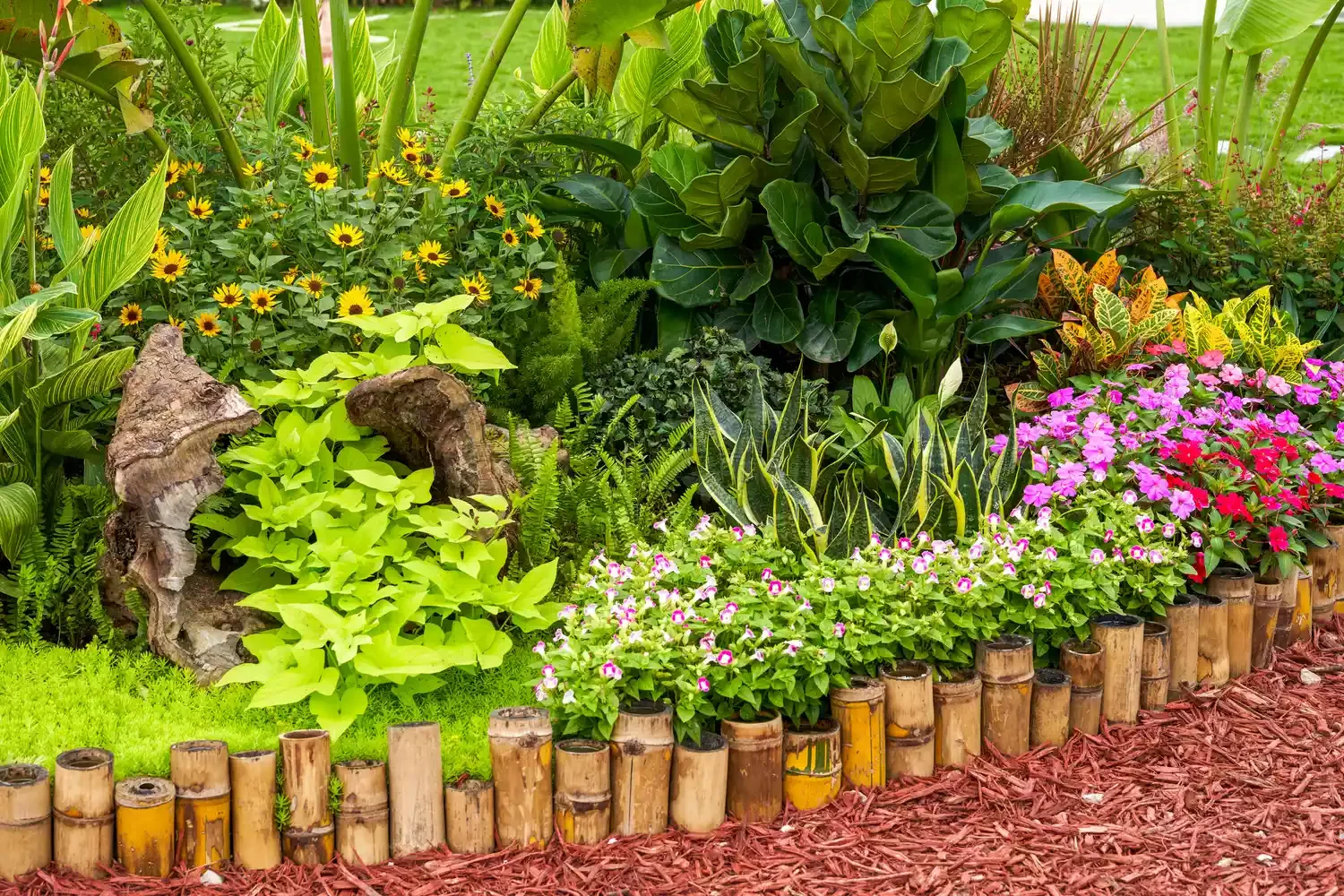30 Affordable and Creative Ways to Define Your Garden Boundaries Bamboo Border
