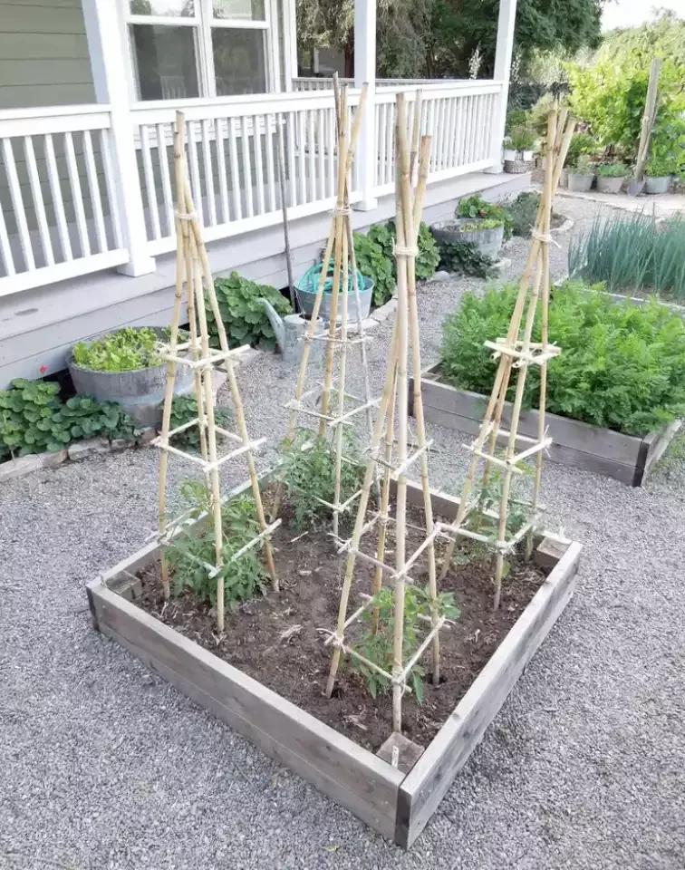 Bamboo Trellis