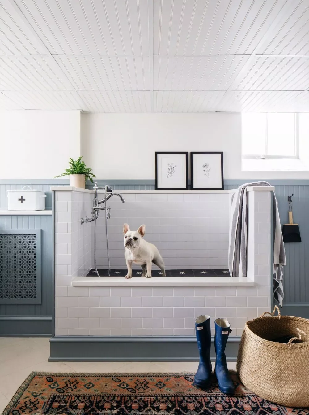 28 Incredible Dog Room Ideas That Will Make Both You and Your Furry Friend Happy 9 Beadboard Wainscoting