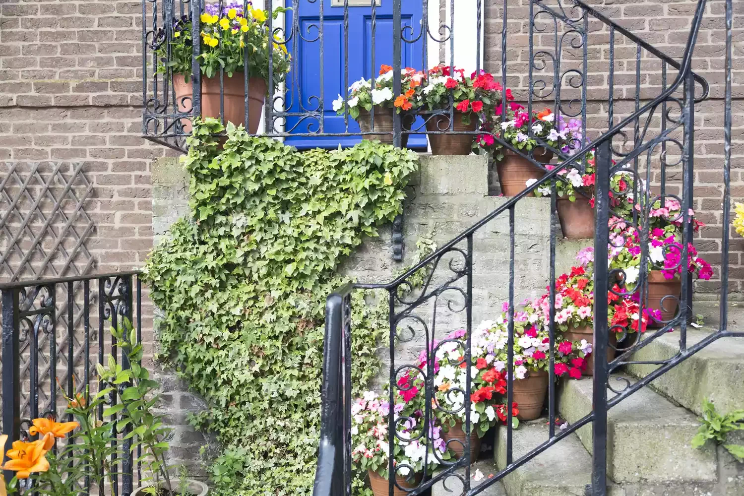 Beckon With Blooms