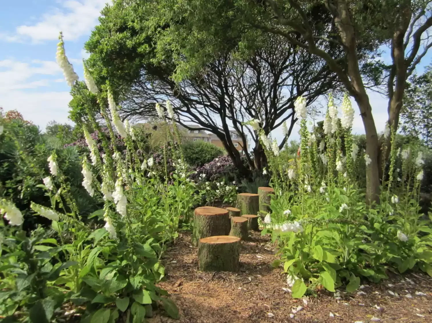 15 Amazing Backyard Play Ideas Your Kids Will Absolutely Love 1 Bee and Butterfly Garden