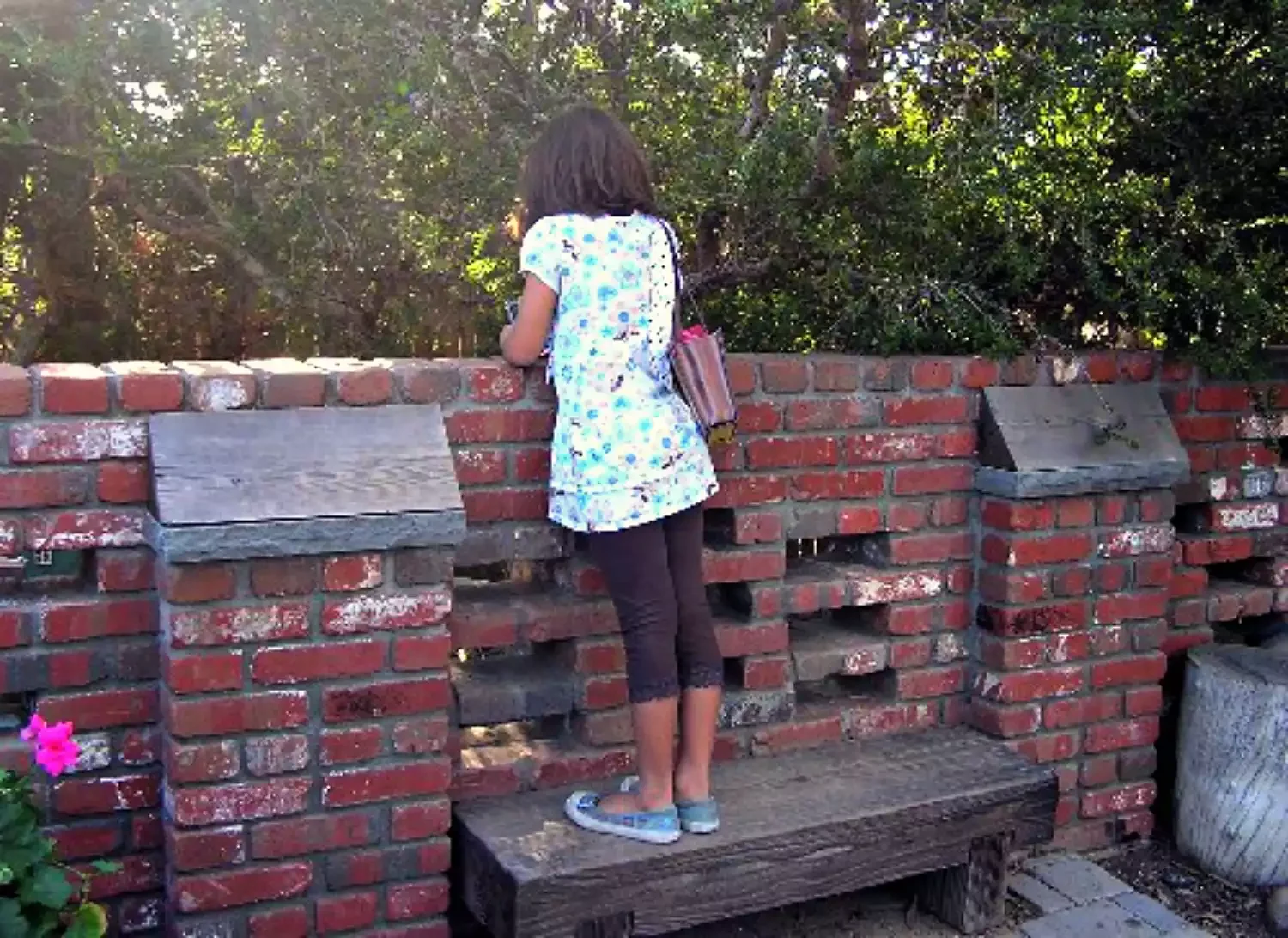 Bench for Peeking