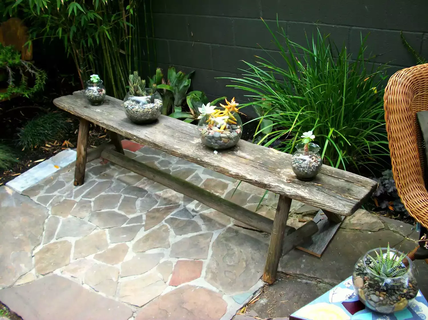 Bench for Plants